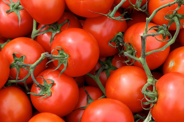 Tomatoes are just an example of foods that can cause itching for eczema sufferers