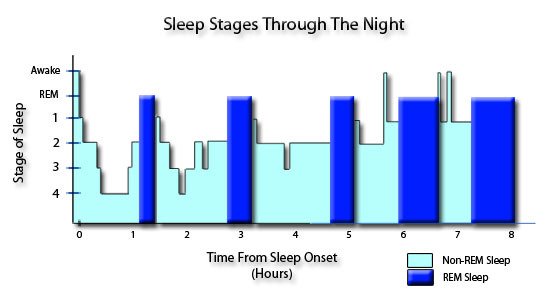 Source : www.end-your-sleep-deprivation.com