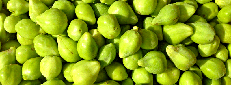 Kakadu plum for skincare